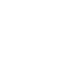 Fast Icon