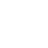 Secure Icon